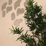 Appartement Casa Umbertina